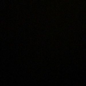 Meet your Posher, Ellis